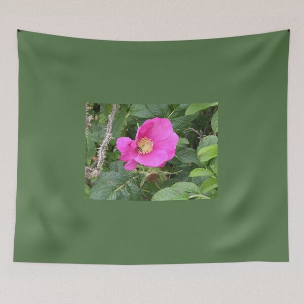 Item preview, Beeutiful designed and sold by Walter Sonny Manser.