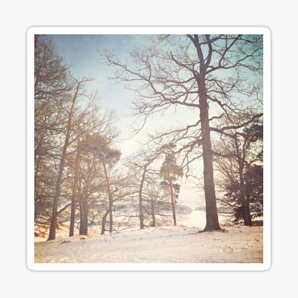 Winter trees Sticker