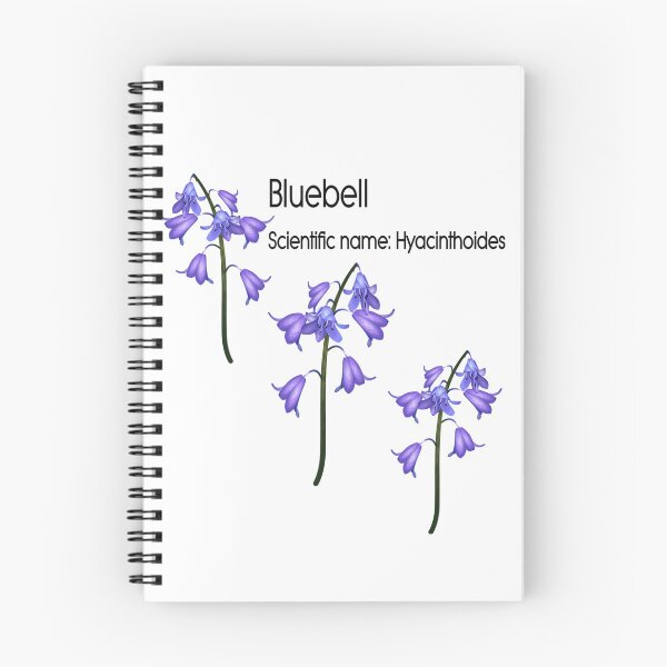 Item preview, Bluebell (Scientific name Hyacinthoides) designed and sold by longford.
