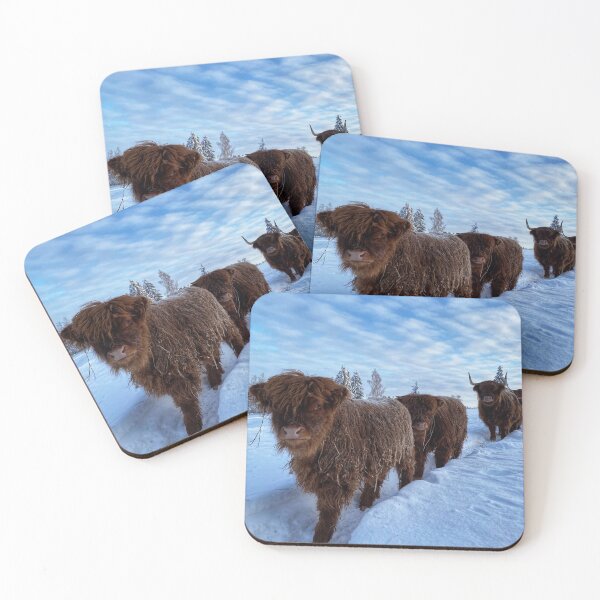 Item preview, Scottish Highland Cattle Calves and Cows in snow 2719 designed and sold by SaarelaHighland.