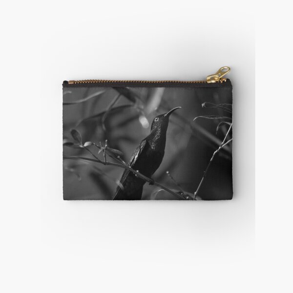 Item preview, Colibri designed and sold by cinema4design.