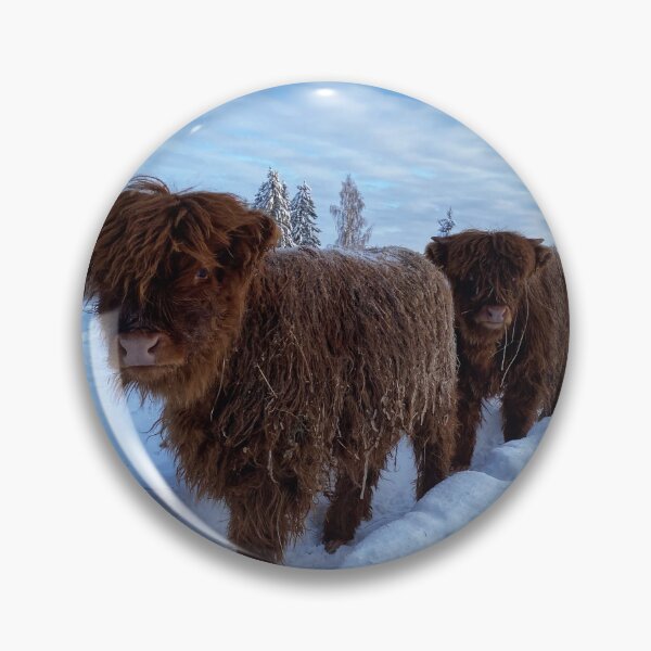 Artikelvorschau, Scottish Highland Cattle Calves and Cows in snow 2720 entworfen und verkauft von SaarelaHighland.