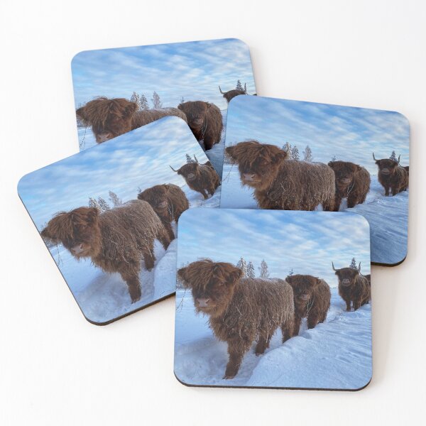 Item preview, Scottish Highland Cattle Calves and Cows in snow 2720 designed and sold by SaarelaHighland.