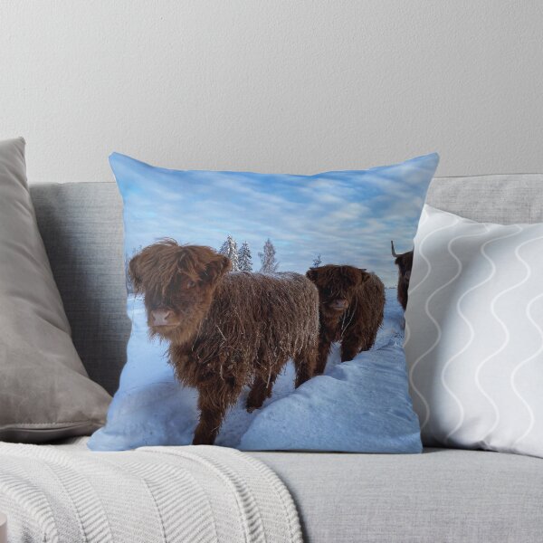 Aperçu de l'œuvre Scottish Highland Cattle Calves and Cows in snow 2720 créée et vendue par SaarelaHighland.