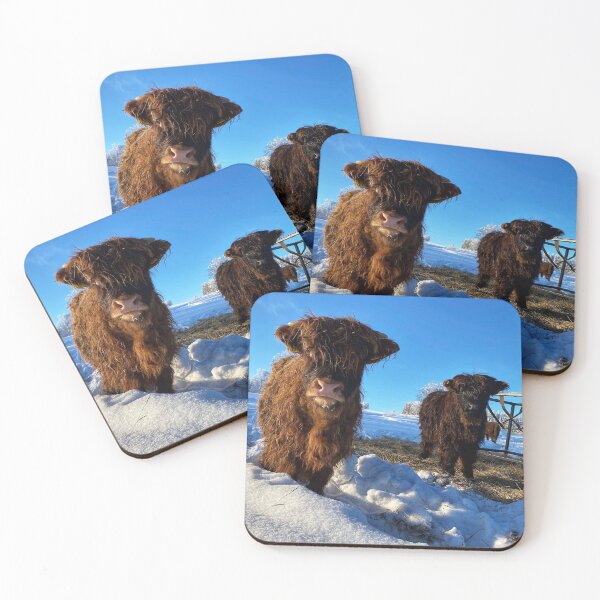 Item preview, Scottish Highland Cattle Calf in snow 2721 designed and sold by SaarelaHighland.