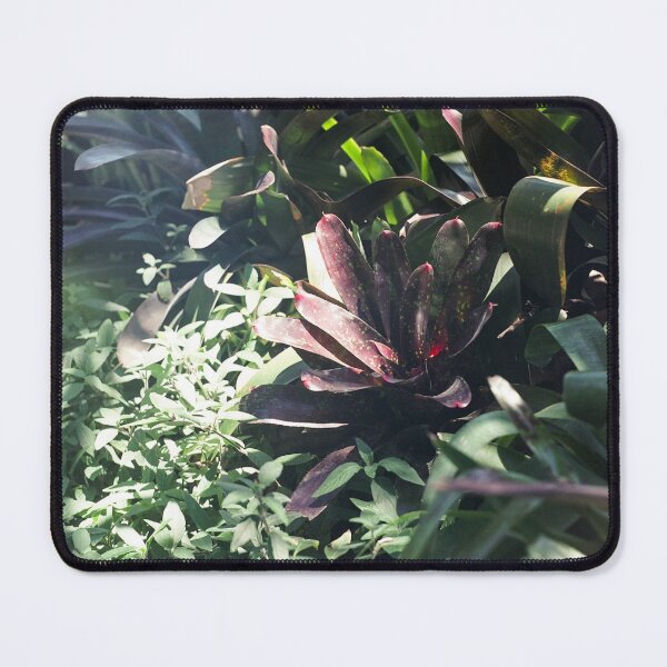 Balboa Park Botanical Building Mouse Pad