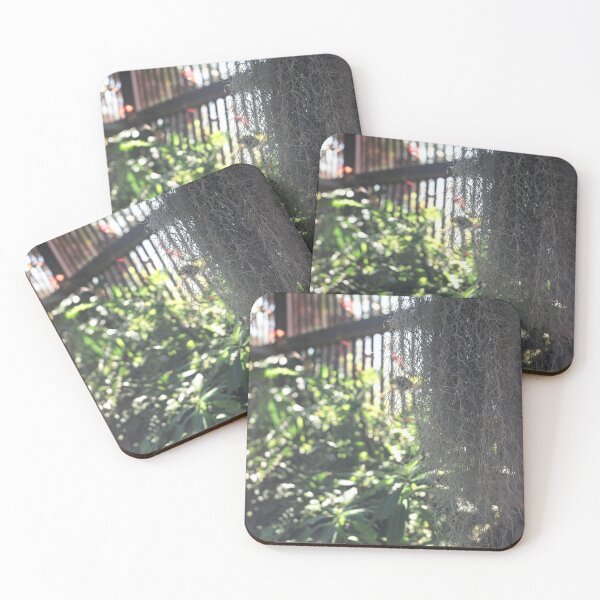 Item preview, Balboa Park Botanical Building designed and sold by sallyjanephoto.