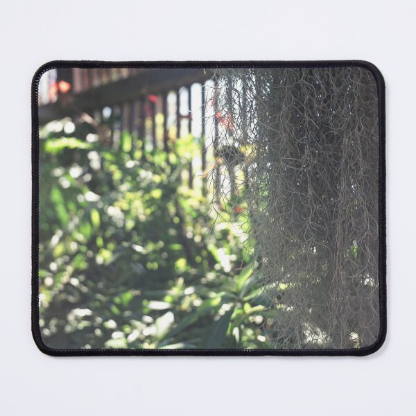 Balboa Park Botanical Building Mouse Pad