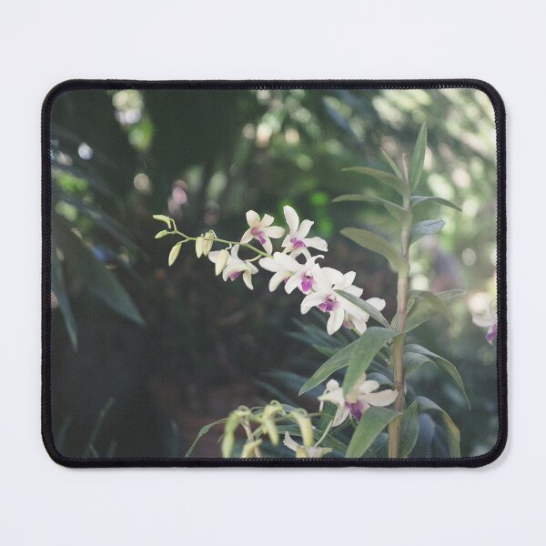 Balboa Park Botanical Building Mouse Pad