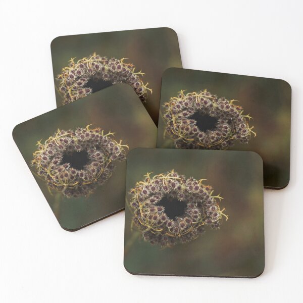 Item preview, Wild carrot  designed and sold by Helen  Kelly.