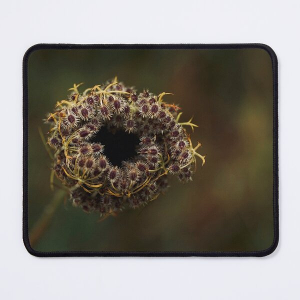 Item preview, Wild carrot designed and sold by Helen Kelly.