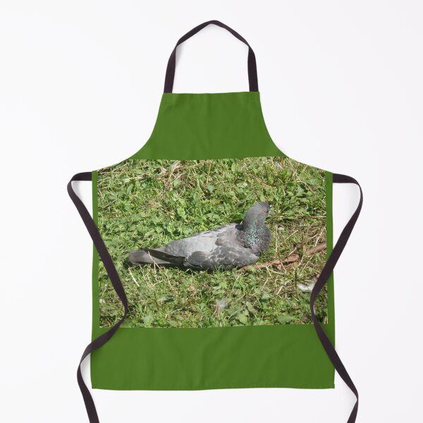 Item preview, Pigeon Resting in the Grass Photograph designed and sold by naturegallery.