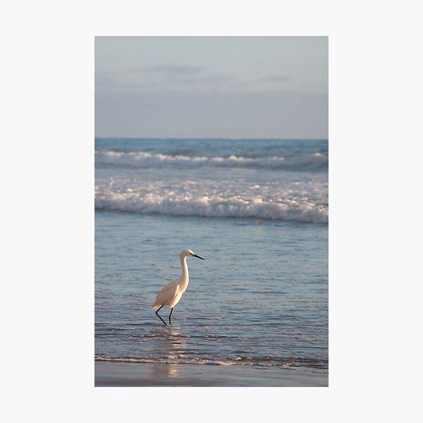 Oceanside Photographic Print
