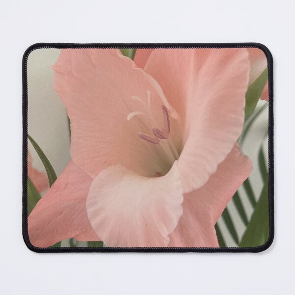 Item preview, Gladioli designed and sold by OByD.