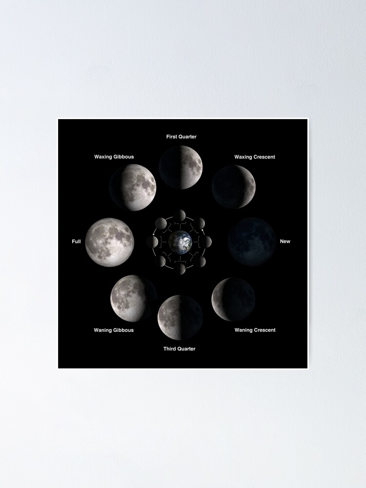 Phases of the Moon Poster