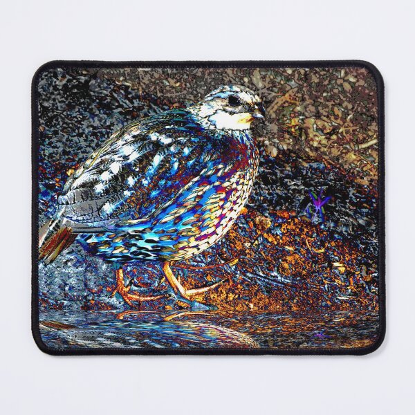 Item preview, 21. Poolside  designed and sold by Jean Gregory Evans.