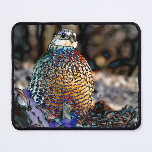 Item preview, 19. Unflappable And Unruffled designed and sold by Jean Gregory Evans.