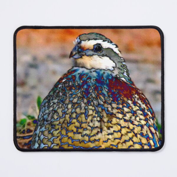 Item preview, 17. What Should I Do? designed and sold by Jean Gregory Evans.