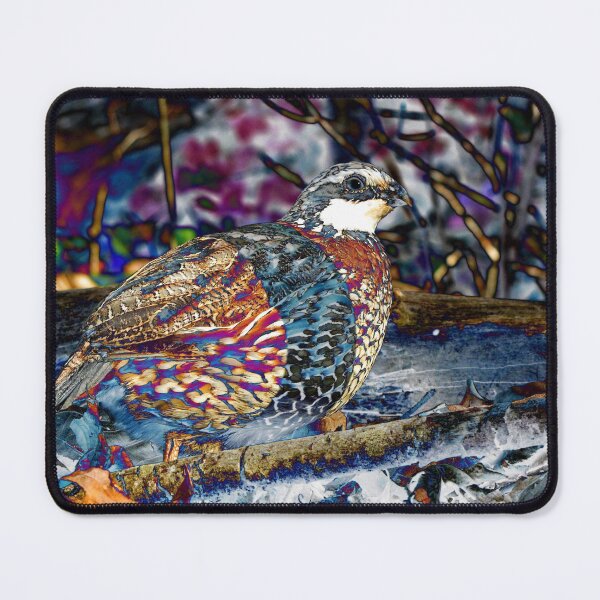 Item preview, 13. Does It Make Me Look Fat? designed and sold by Jean Gregory Evans.