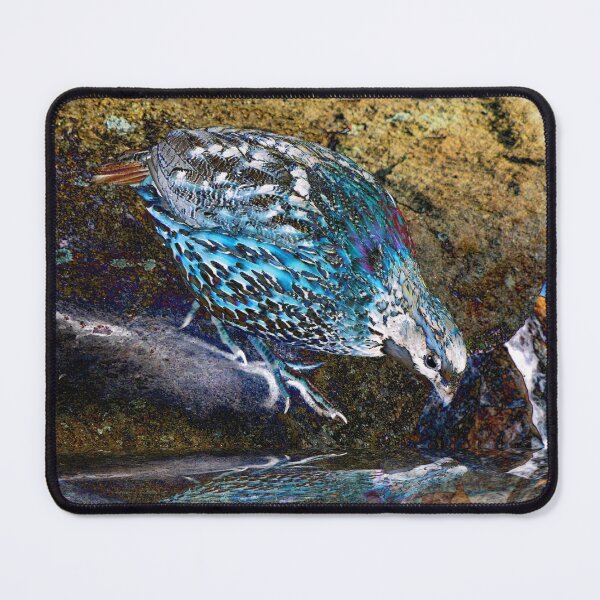 Item preview, 10. It Is A Very Good Day designed and sold by Jean Gregory Evans.