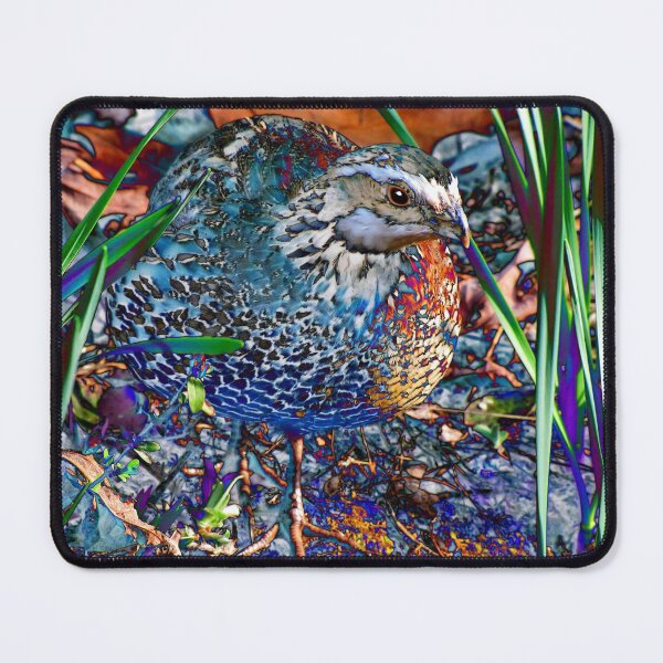 Item preview, 9. Passing Through designed and sold by Jean Gregory Evans.