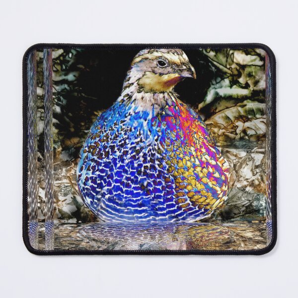 Item preview, 6. Behind Bars designed and sold by Jean Gregory Evans.