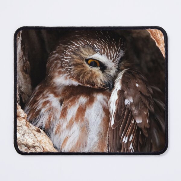 Item preview, Northern Saw Whet Owl designed and sold by Alyce Taylor.