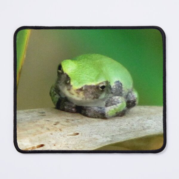 Item preview, I Wear The Green designed and sold by Jean Gregory Evans.