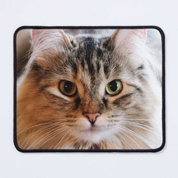 Item preview, MoMo designed and sold by Alyce Taylor.