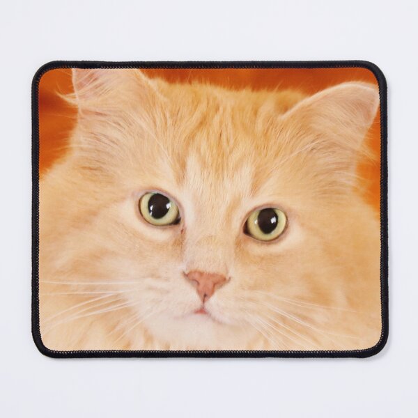 Item preview, BamBam designed and sold by Alyce Taylor.