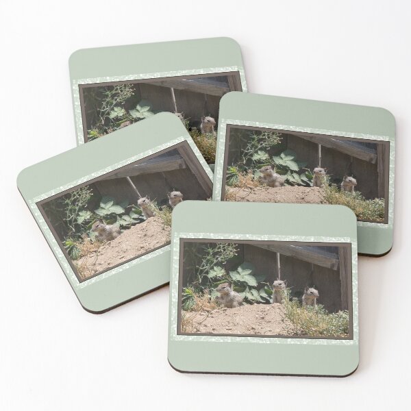 Item preview, Ground Squirrel Triplets designed and sold by CarolM.