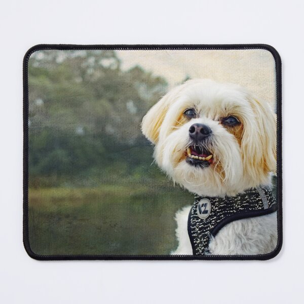 Item preview, Out For A Ride designed and sold by Susan Werby.