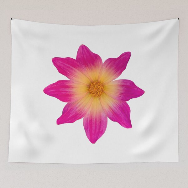 Item preview, Pink Dahlia Flower Still Life Floral Photography designed and sold by CottoVerdi.