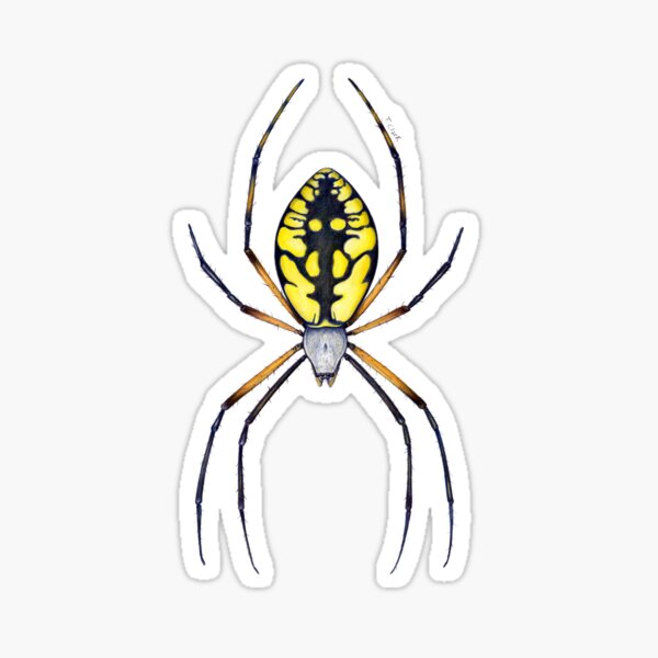 Item preview, Argiope Spider (Orb Weaver) designed and sold by Tamara Clark.