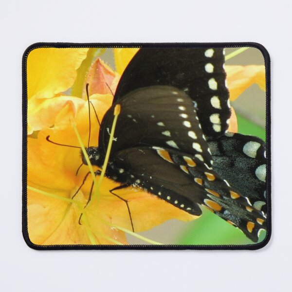 Item preview, Nectarous Sugar-rich Yummy designed and sold by Jean Gregory Evans.