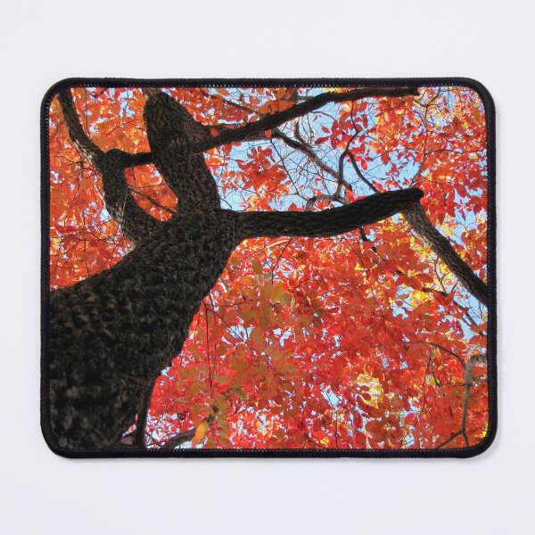 Item preview, Black Gum Tree designed and sold by Jean Gregory Evans.