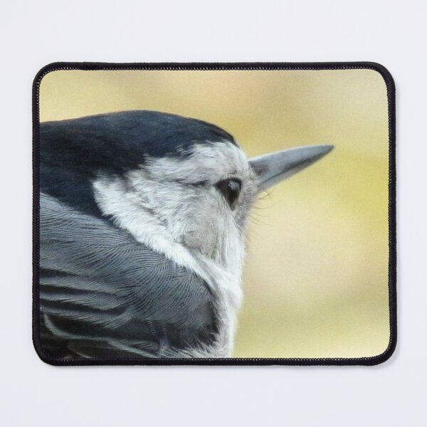 Item preview, White-breasted Nuthatch (Sitta carolinensis) designed and sold by Jean Gregory Evans.