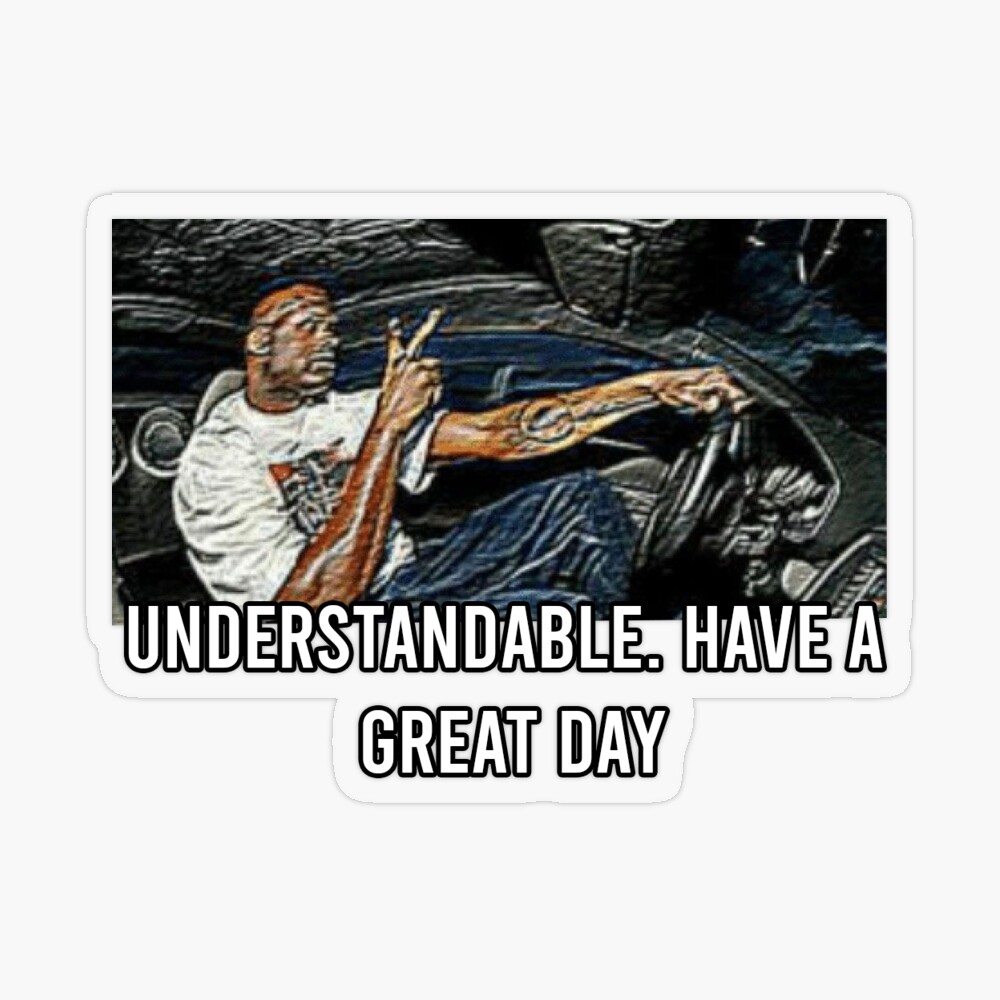 understandable have a nice day Magnet for Sale by MEMER-D | Redbubble