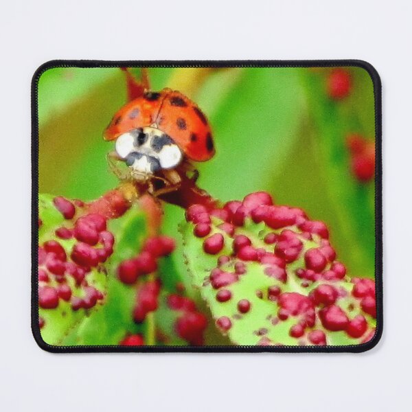 Item preview, Do I Clash With These Spots? designed and sold by Jean Gregory Evans.