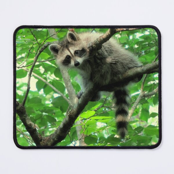 Item preview, Yeah, I'm just hangin' out. Whatchu doin'? designed and sold by Jean Gregory Evans.