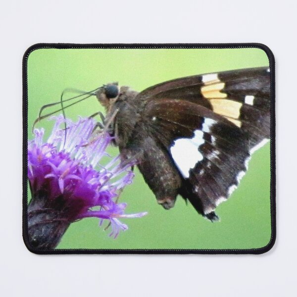 Item preview, Opportunity designed and sold by Jean Gregory Evans.