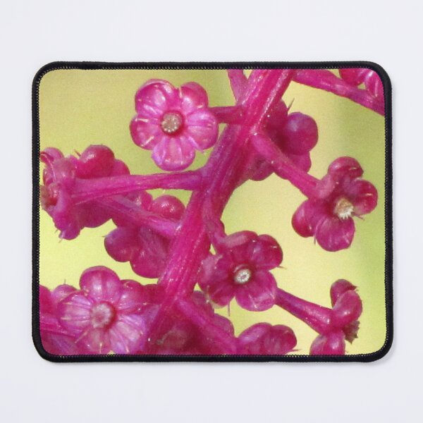 Item preview, Poke Flower designed and sold by Jean Gregory Evans.