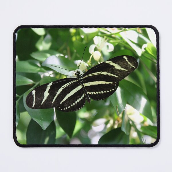 Item preview, Zebra Longwing Butterfly designed and sold by Kelley Shannon.