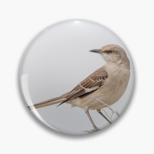 Item preview, Mockingbird of the North designed and sold by Nadialoz.