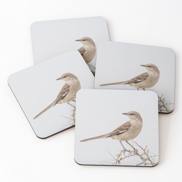 Item preview, Mockingbird of the North designed and sold by Nadialoz.