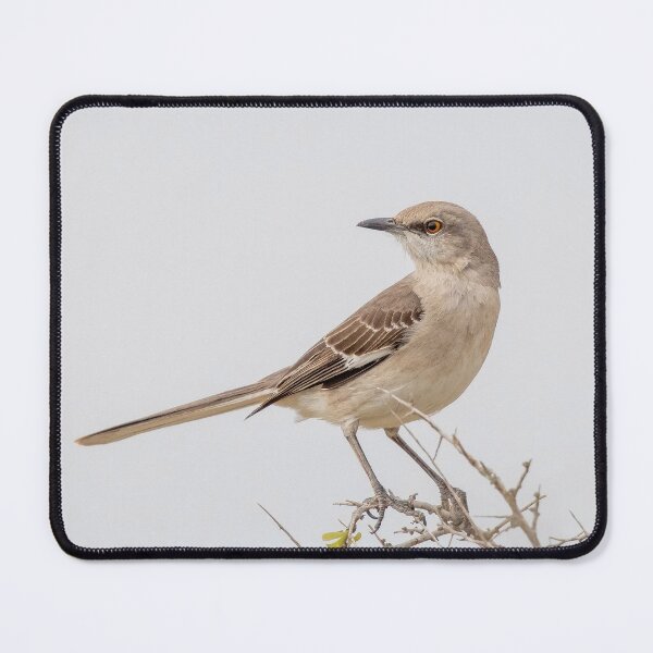 Item preview, Mockingbird of the North designed and sold by Nadialoz.