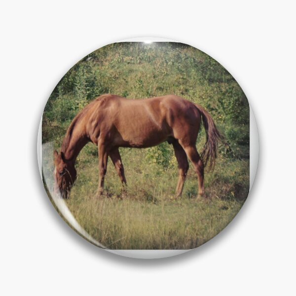 Item preview, Quarter Horse  designed and sold by Danae1985.