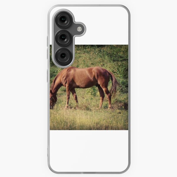 Aperçu de l'œuvre Quarter Horse créée et vendue par Danae1985.