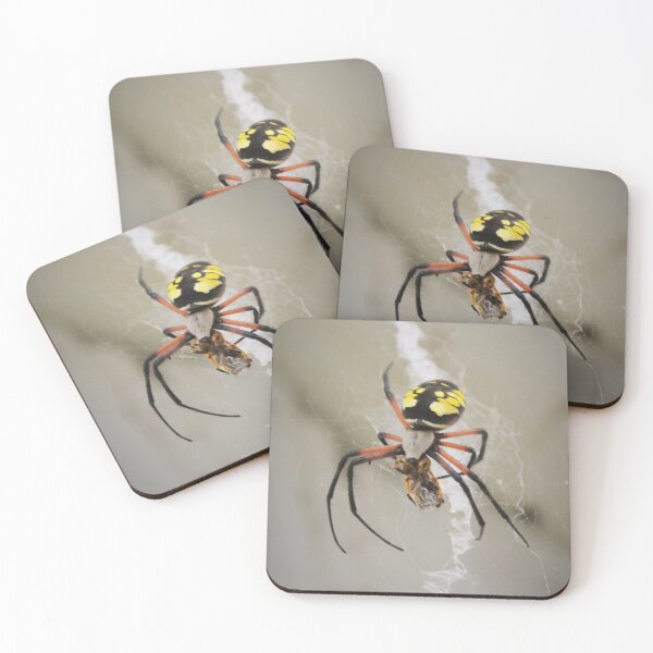 Item preview, Argiope aurantia designed and sold by MailboxJim.