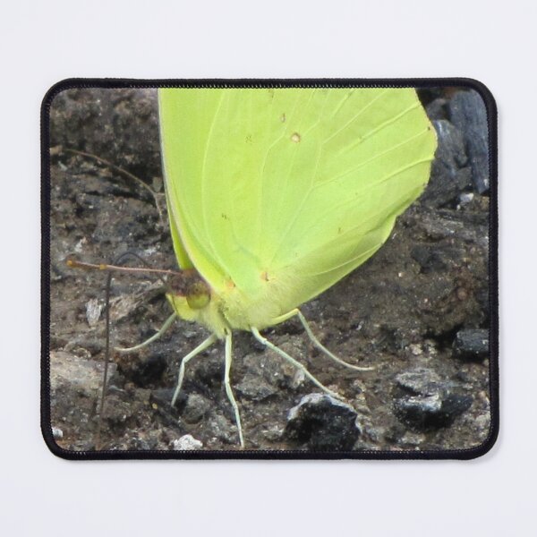 Item preview, Green Butterfly designed and sold by Jean Gregory Evans.